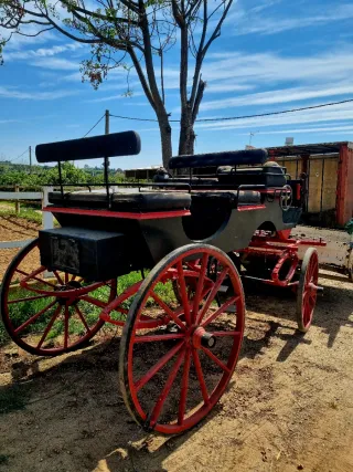 Faetón Coche de Caballos Negro y Rojo