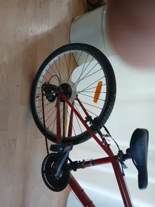 Bicicleta Rockrider 5.3 Infantil