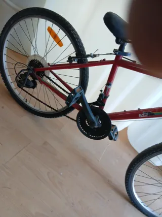 Bicicleta Rockrider 5.3 Infantil