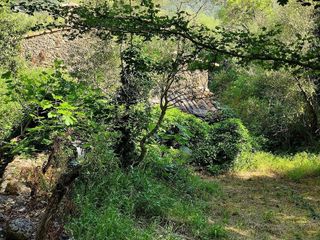 Terreno en venta en Pollença en Pollença