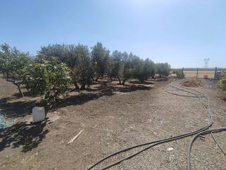 Terreno en venta en Cabezas de San Juan (Las)