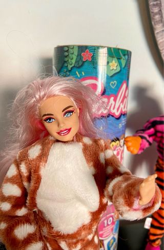 Lote de Barbies