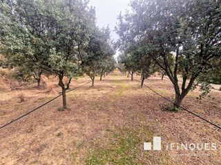 Terreno en venta en Sant Feliu del Racó en Castellar del Vallès