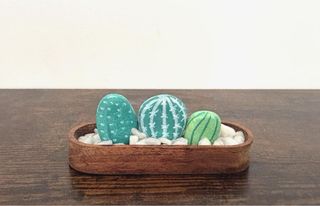 Piedras decorativas cactus pintadas a mano