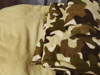 LOTE X 5euros, de Sabanas  polares