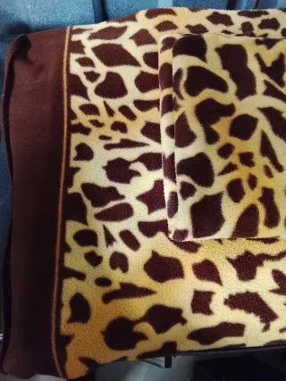 LOTE X 5euros, de Sabanas polares