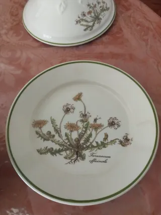 Sopera de porcelana con plato