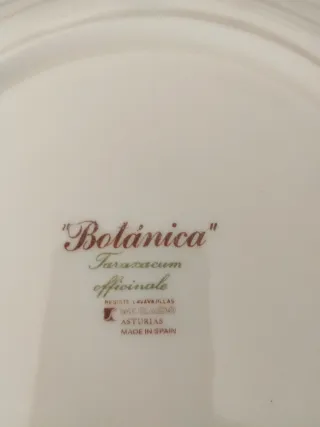 Sopera de porcelana con plato