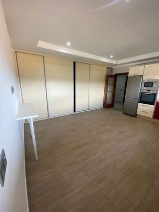 Piso en alquiler en Conde de Ureña - Monte Gibralfaro en Málaga