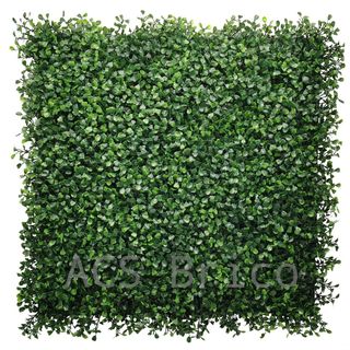 Jardín Vertical Modelo Boj - 1 m2