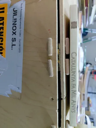 Catalunya fa mil anys. Notes històriques en oca...