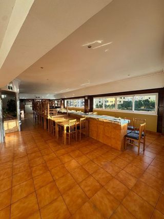 Local comercial en alquiler en La Indioteria en Palma de Mallorca