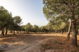 Terreno en venta en Zubia (La)