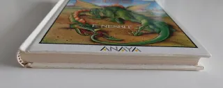 Historias de dragones (ANAYA - TUS LIBROS)