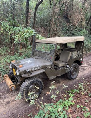Alquiler Jeep Willys M38 de 1951 para eventos