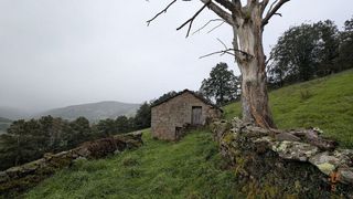 Casa en venta en San Pedro del Romeral