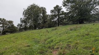 Casa en venta en San Pedro del Romeral