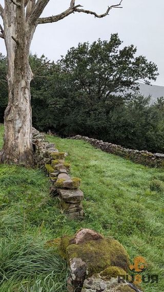 Casa en venta en San Pedro del Romeral