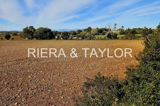 Terreno en venta en Manacor Centro en Manacor