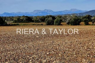 Terreno en venta en Manacor Centro en Manacor