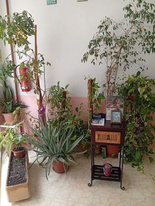 Local comercial en venta en Nou Moles en Valencia