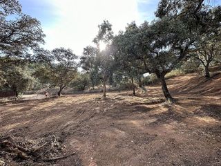 Solar en venta en Santa Maria de Trassierra en Córdoba