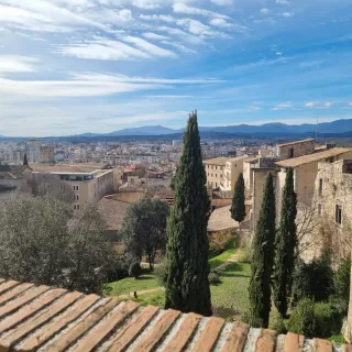 Se alquila habitación