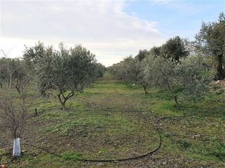 Terreno en venta en Riudoms