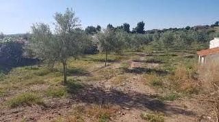 Terreno en venta en Riudoms