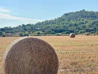 Solar en venta en Manacor Centro en Manacor