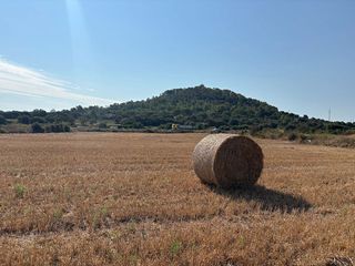 Solar en venta en Manacor Centro en Manacor