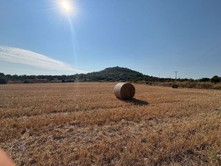 Solar en venta en Manacor Centro en Manacor