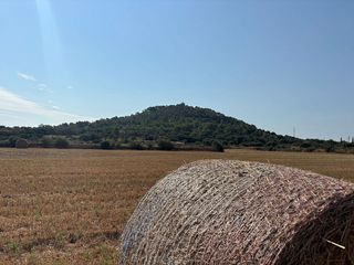 Solar en venta en Manacor Centro en Manacor