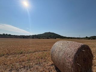 Solar en venta en Manacor Centro en Manacor