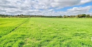 Solar en venta en Manacor Centro en Manacor