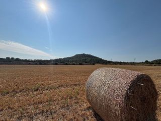 Solar en venta en Manacor Centro en Manacor