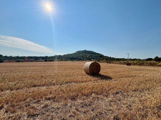 Solar en venta en Manacor Centro en Manacor