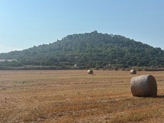 Solar en venta en Manacor Centro en Manacor