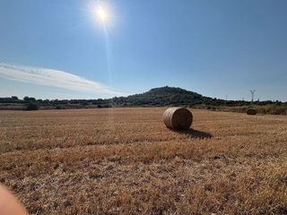 Solar en venta en Manacor Centro en Manacor
