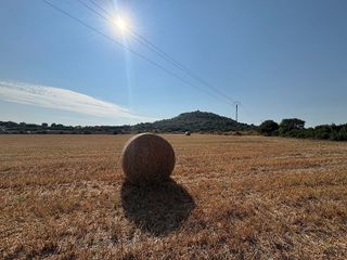 Solar en venta en Manacor Centro en Manacor