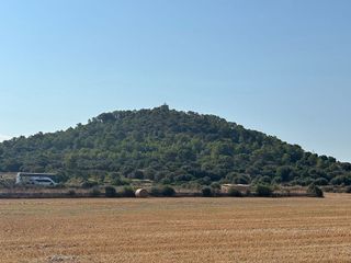 Solar en venta en Manacor Centro en Manacor