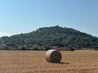 Solar en venta en Manacor Centro en Manacor