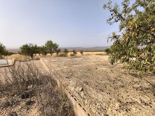 Solar en venta en Yecla