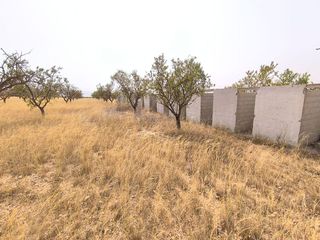 Solar en venta en Yecla