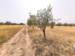 Solar en venta en Yecla