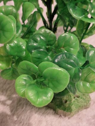 Pianta finta acquario 12 cm