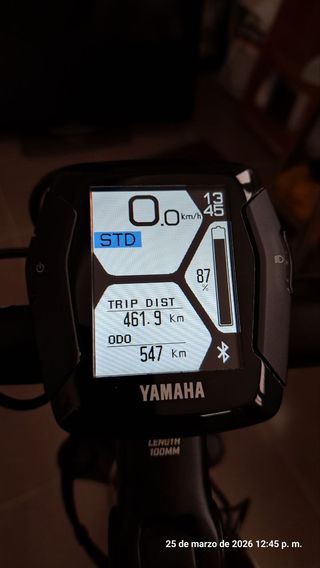 Ebike GasGas Dual Cross 6.0 Gent Talla L