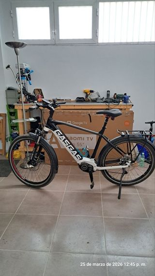 Ebike GasGas Dual Cross 6.0 Gent Talla L