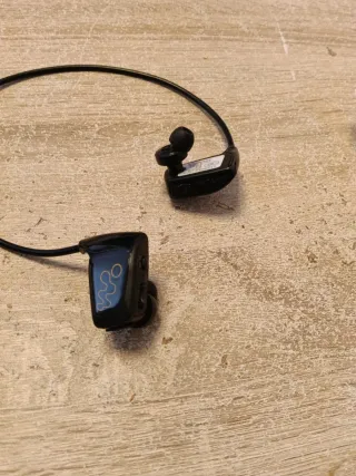 Cascos Óseos con Tarjeta de Memoria