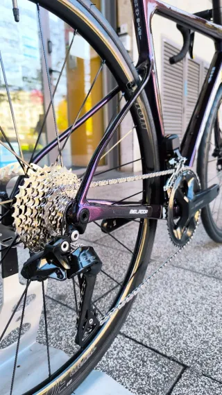 BERRIA BELADOR ESSENTIAL Di2